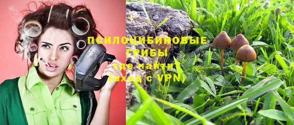 синтетический гашиш Алексин