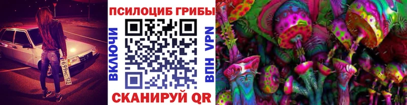 Псилоцибиновые грибы GOLDEN TEACHER  ссылка на мегу как войти  Лесосибирск 
