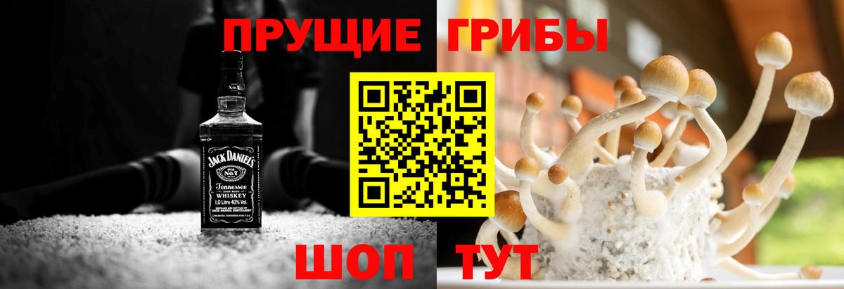 где купить наркоту  Галлюциногенные грибы мухоморы  Вход с VPN  Псилоцибиновые грибы Cubensis  Лесосибирск 